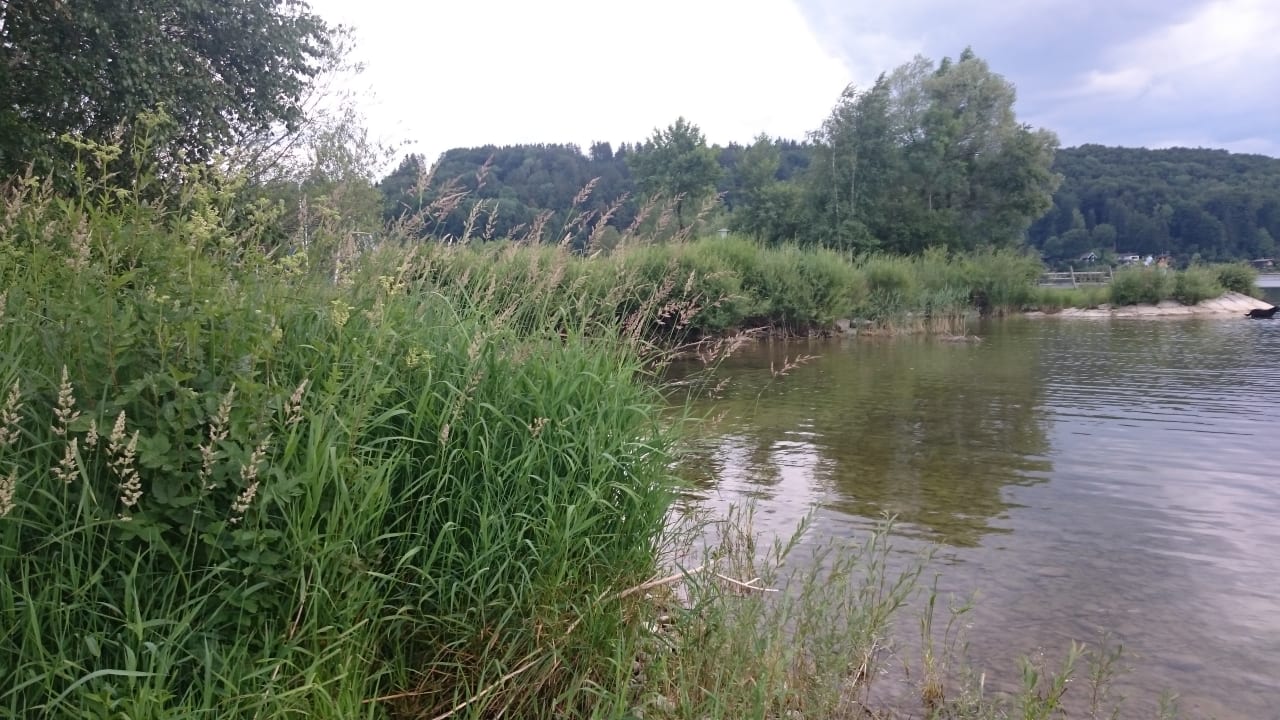 Ausblick Seehotel Winkler