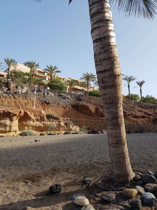 Blick vom Strand zum Hotel  Hotel Riu Buenavista