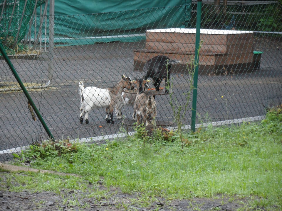 Sonstiges Landschloss Ernestgrün