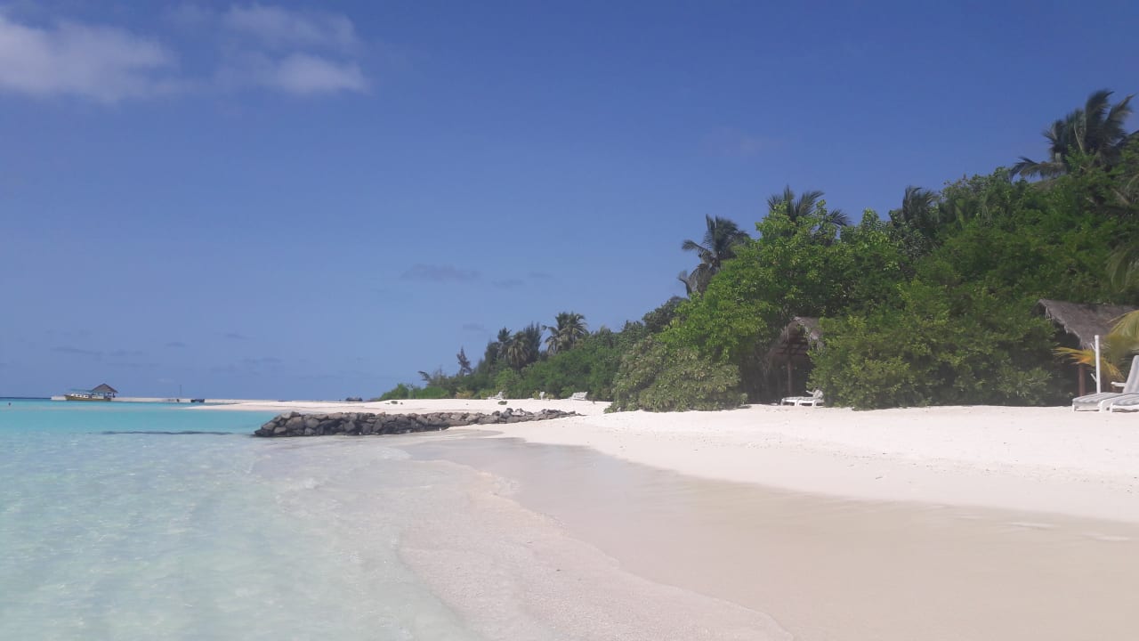 Strand Summer Island Maldives