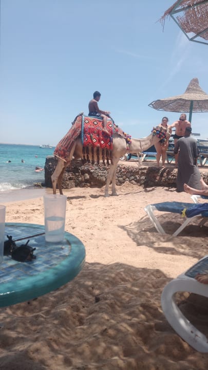 Strand Bella Vista Resort Hurghada