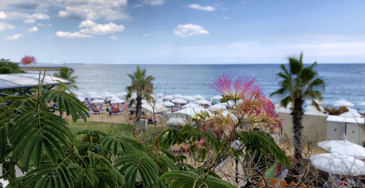 Garten Sentido Marea