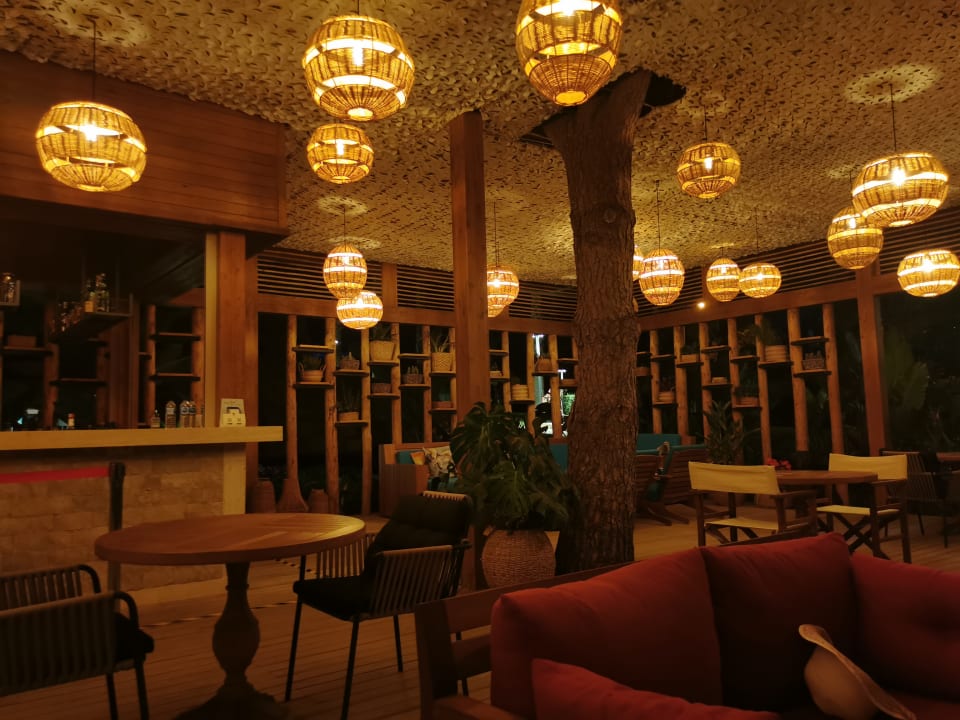 Gastro Arum Barut Collection