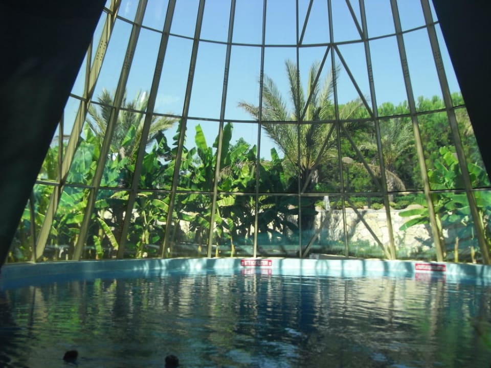 Hallenbad Blue Waters Club
