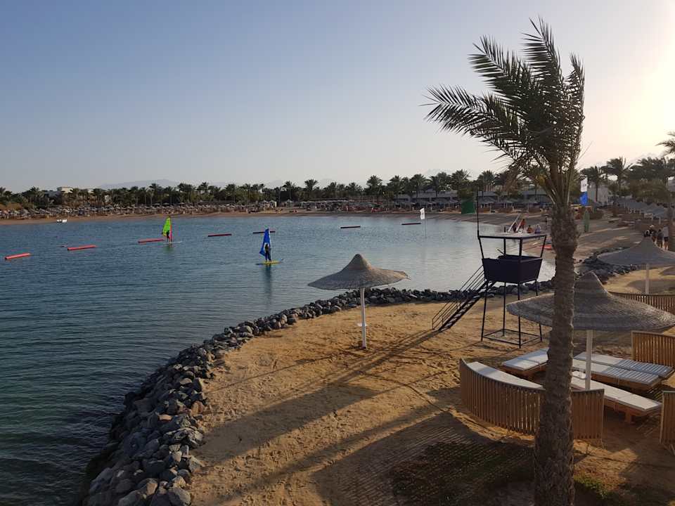 Ausblick Desert Rose