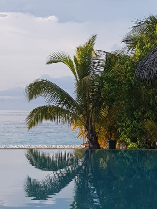 Pool mit Blick aufs Meer  Adaaran Select Meedhupparu Island Resort - Premium All Inclusive