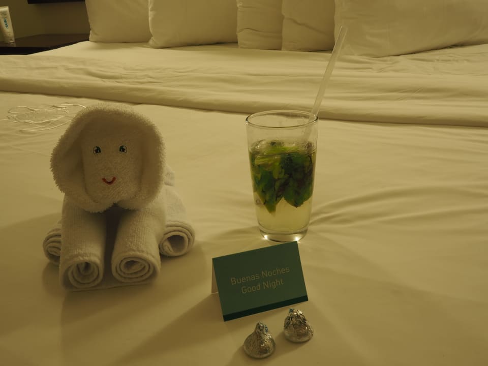 Zimmer Akumal Bay Beach & Wellness Resort