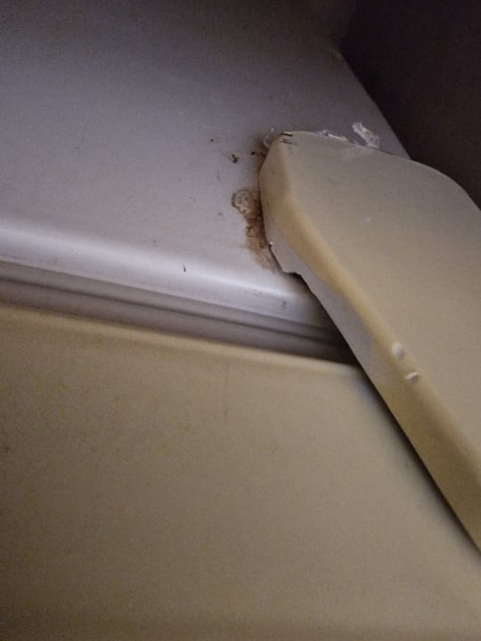 Zimmer Pickalbatros Citadel Resort