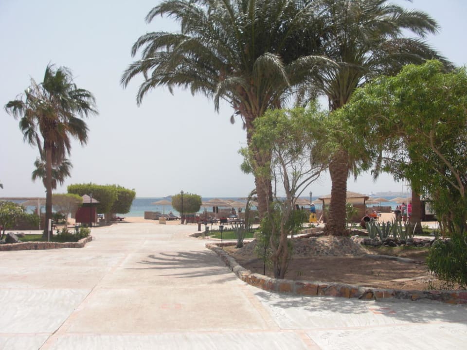Weg zum Strand Eagles Paradise Abu Soma