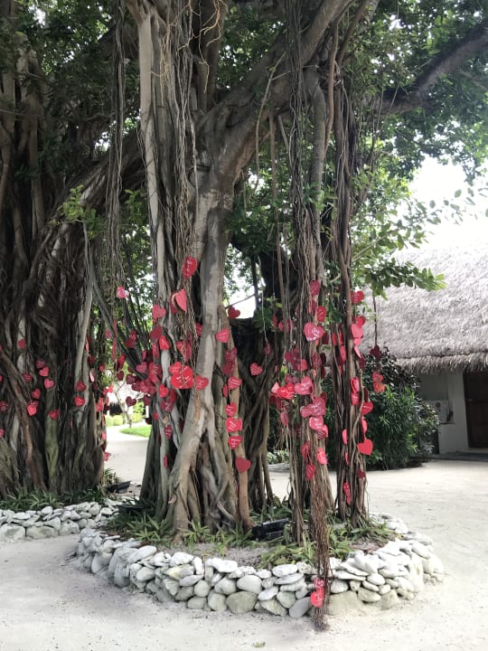 Ausblick Adaaran Select Hudhuran Fushi - Premium All Inclusive