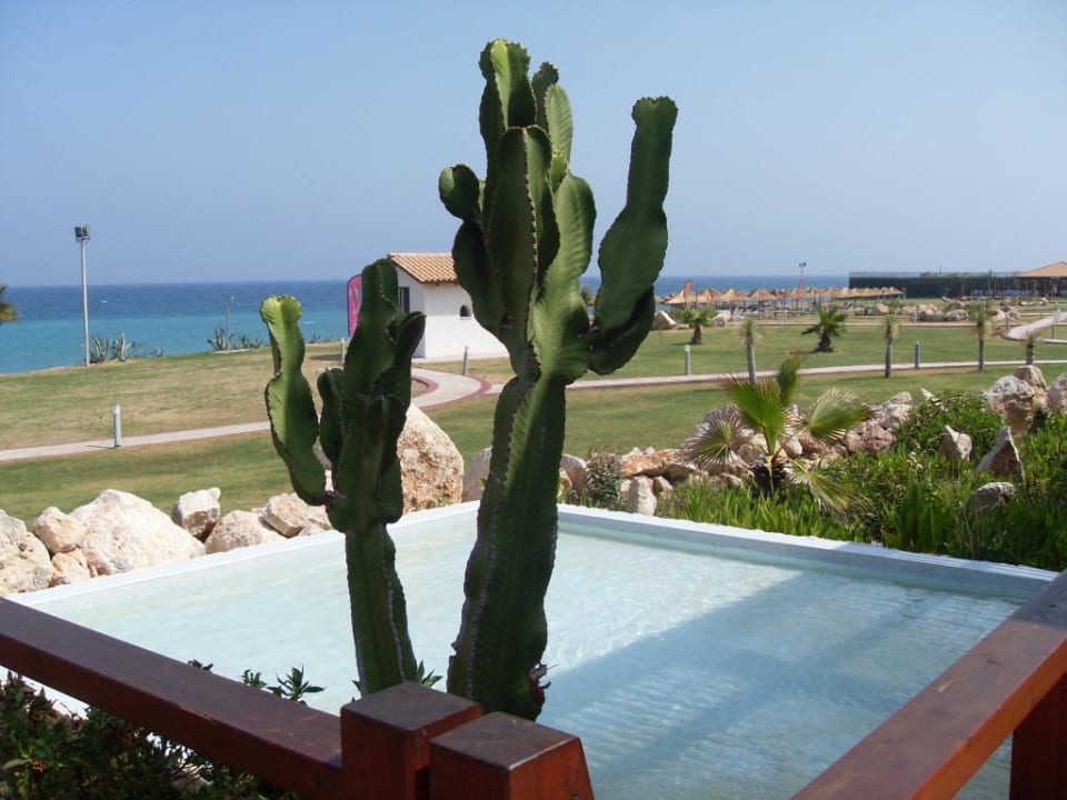 Gartenanlage All Senses Nautica Blue Exclusive Resort & Spa