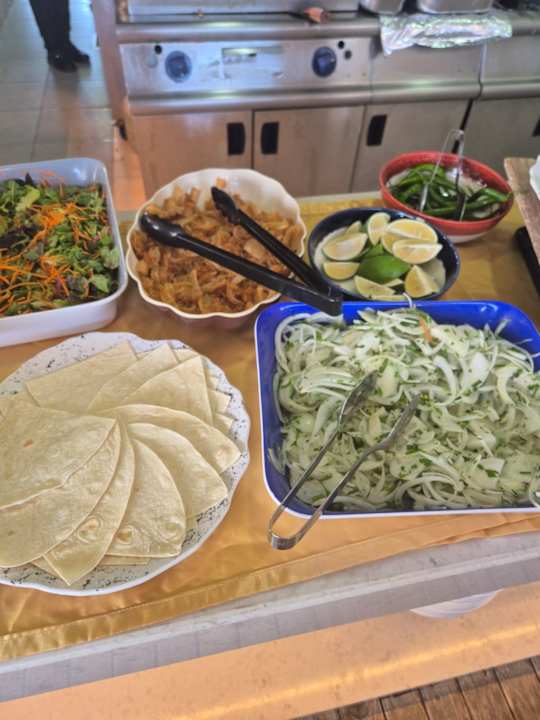 Gastro Seashell Vega