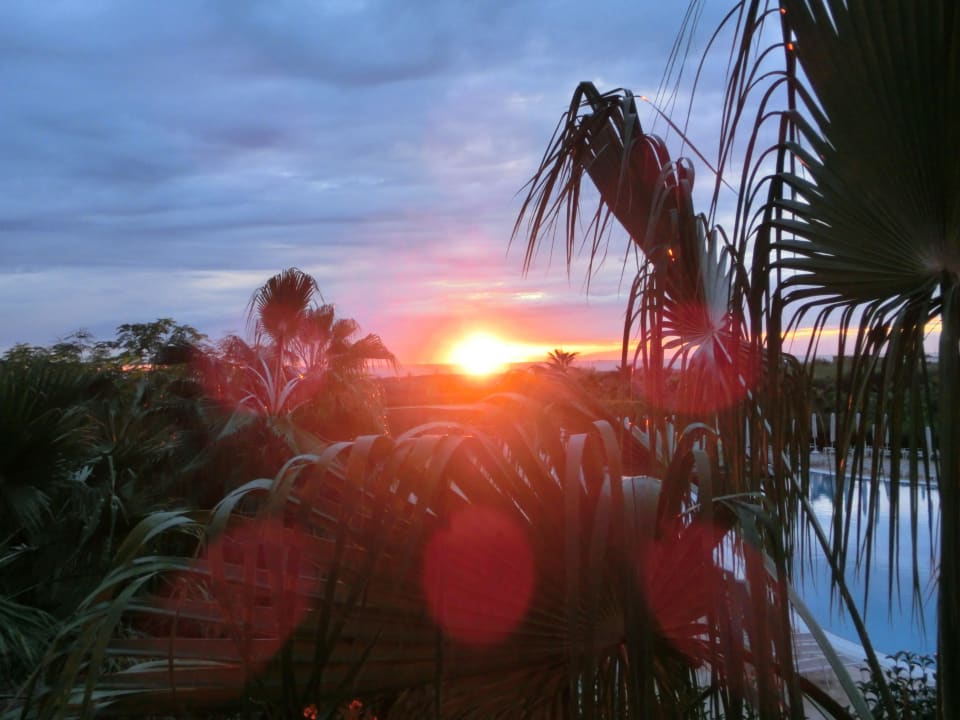 Terrasse Seaden Sea World Resort & Spa
