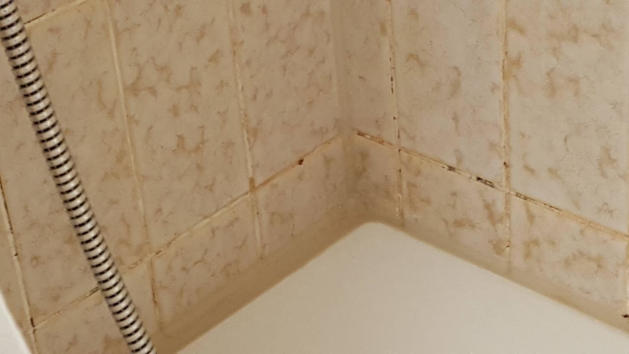 Schwarzschimmel Mercure Mainz City Center