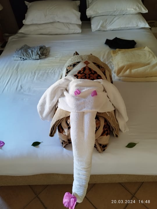 Zimmer Steigenberger Coraya Beach - Adults only