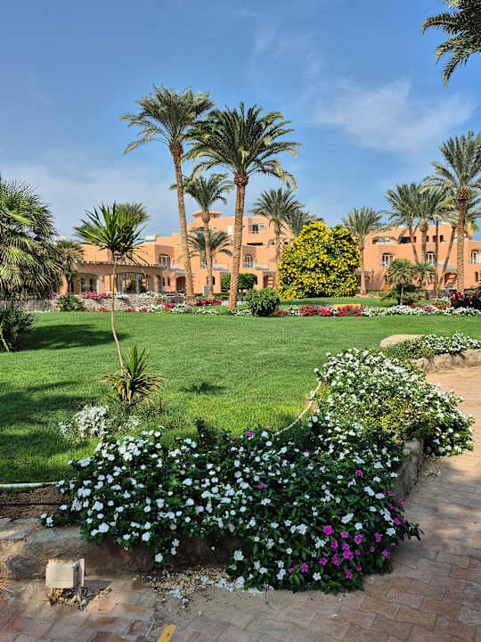 Gartenanlage Club Paradisio El Gouna, Red Sea