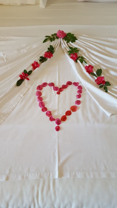 Liebevolle Dekoration  Caribbean World Thalasso Djerba