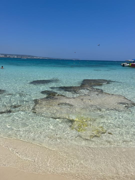 Strand Asterias Beach