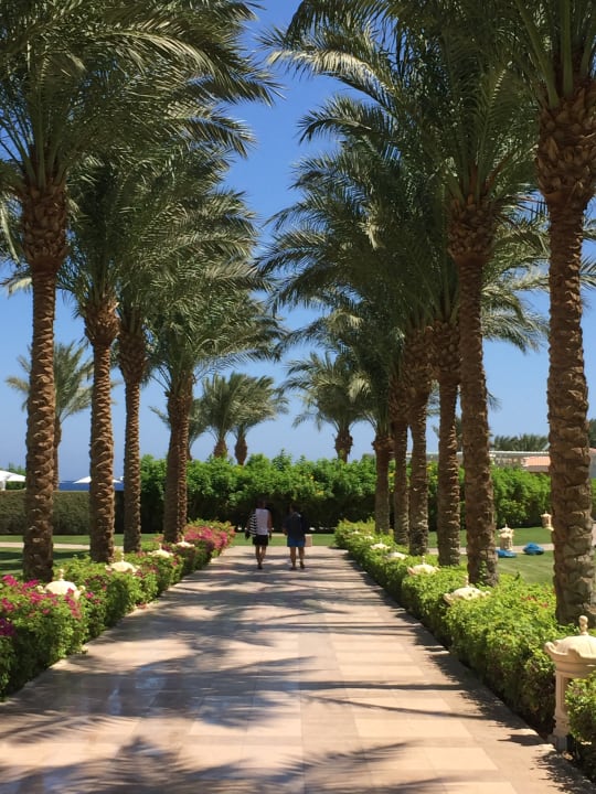 Garten Baron Palace Sahl Hasheesh