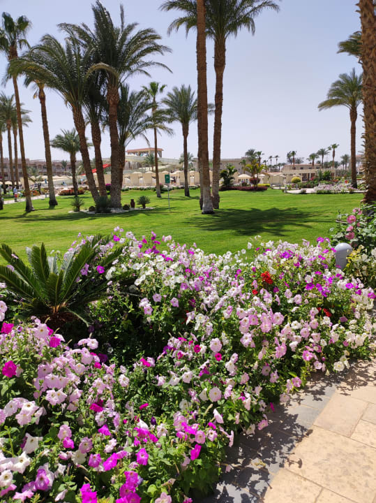 Außenansicht Beach Albatros Resort