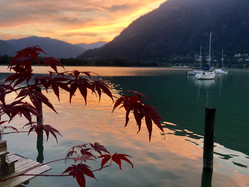 Ausblick ROBINSON LANDSKRON