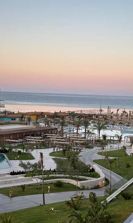 Zimmer JAZ Elite Asteria