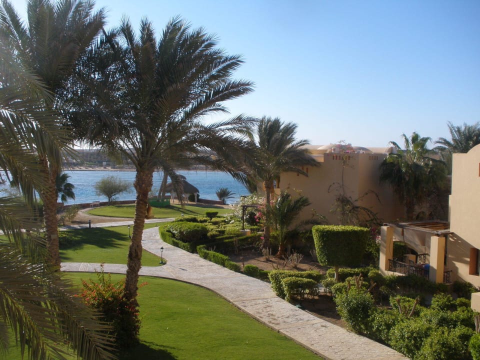 Ausblick vom Zimmer Steigenberger Coraya Beach - Adults only