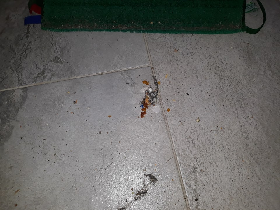 Zimmer Het Grootslag Vakantiepark