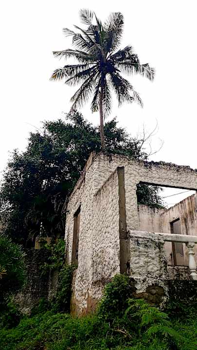 Gartenanlage Chuini Zanzibar Beach Lodge