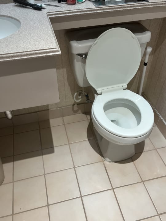 Zimmer Hollywood Hotel - The Hotel of Hollywood