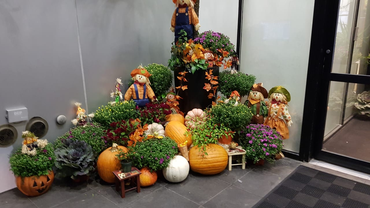 Außenansicht Delta Hotels by Marriott New York Times Square