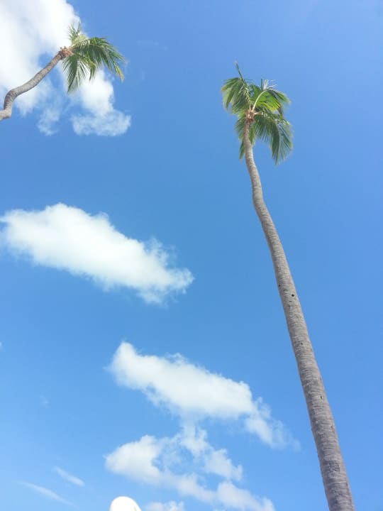 Palmen Grand Palladium Select Bávaro Resort & Spa