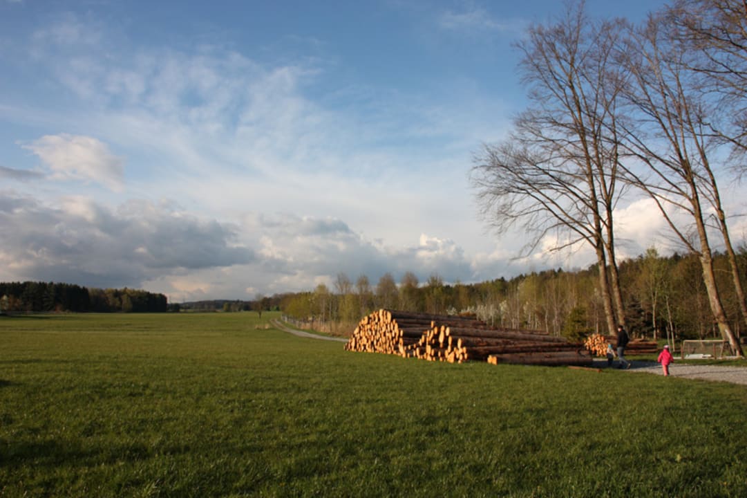 Gartenanlage Hotel Hofgut Tiergarten