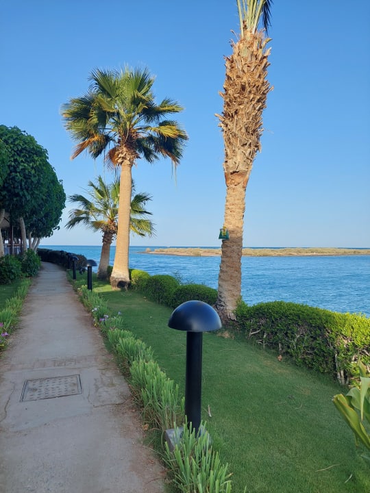 Gartenanlage Hotel Three Corners Ocean View prestige - Adults only