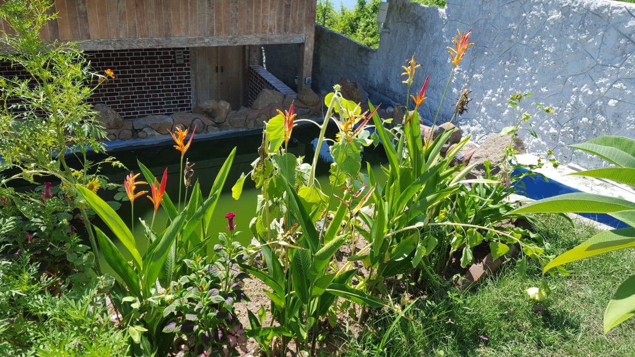 Gartenanlage The Princess Of Mentigi Bay