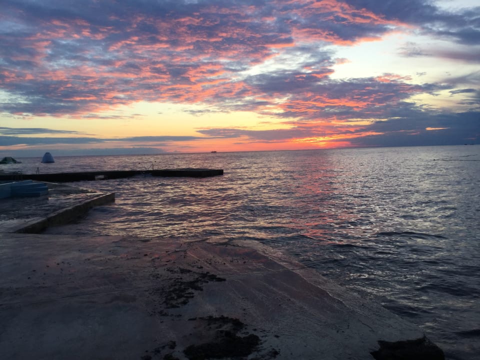 Ausblick Apartments Bellevue Plava Laguna