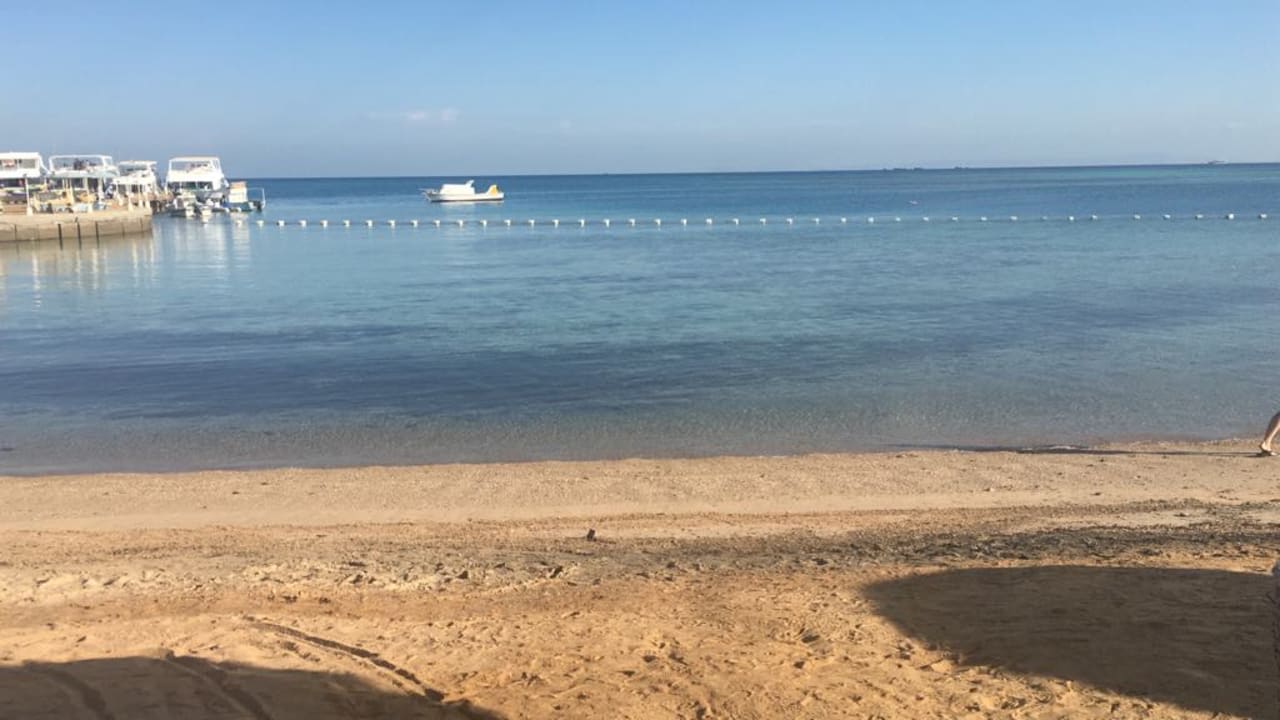 Strand Sea Star Beau Rivage