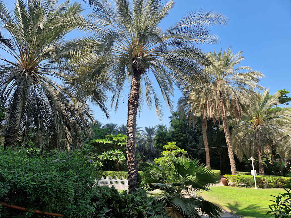 Gartenanlage Le Meridien Mina Seyahi Beach Resort & Waterpark