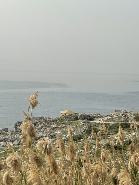 Ausblick Hotel Kalithea Horizon Royal