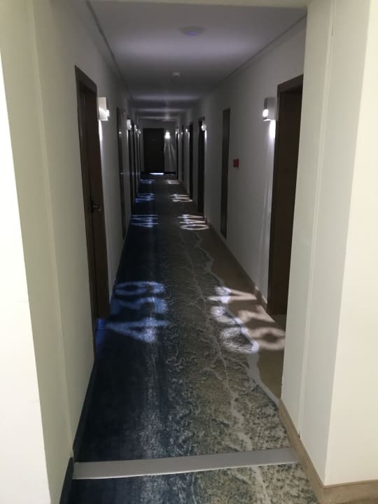 Zimmer Sentido Marea