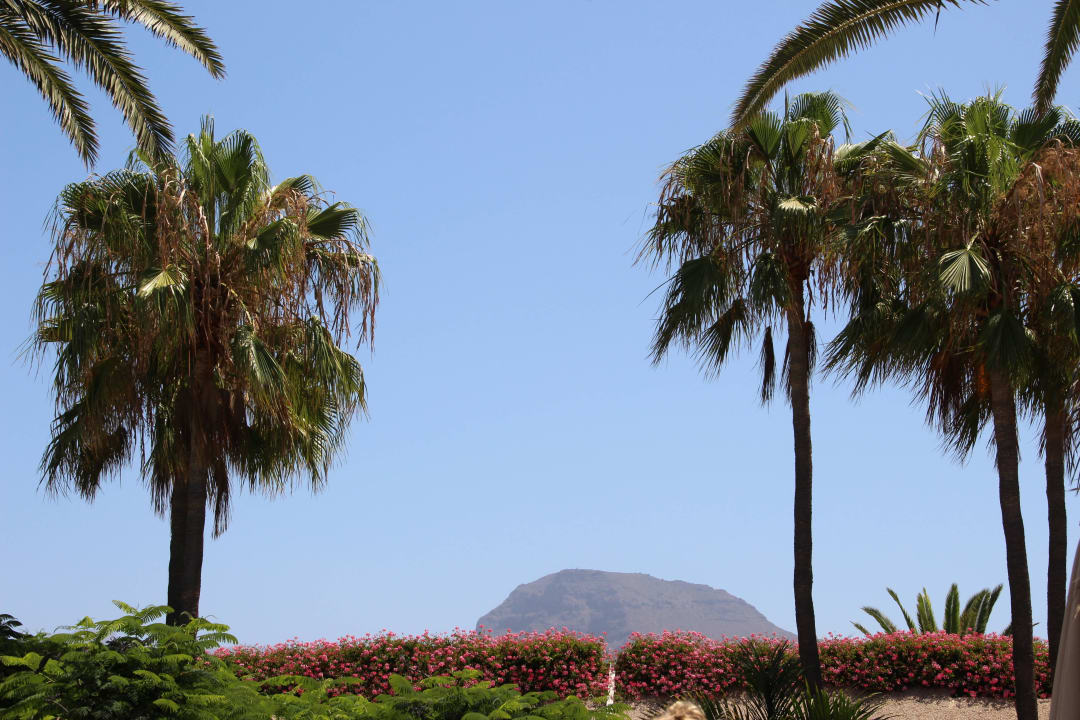 Hôtel H10 Las Palmeras - La Vue 2015 H10 Las Palmeras