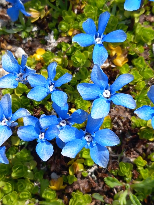 Sonstiges Alpenresidenz am Mühlbach