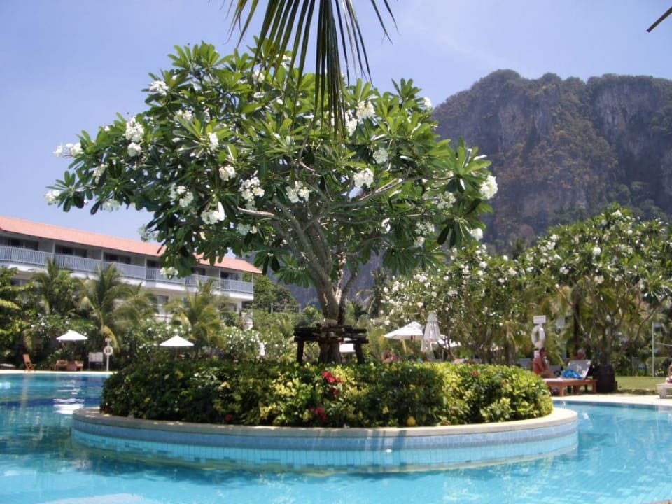 Pool Aonang Villa Resort