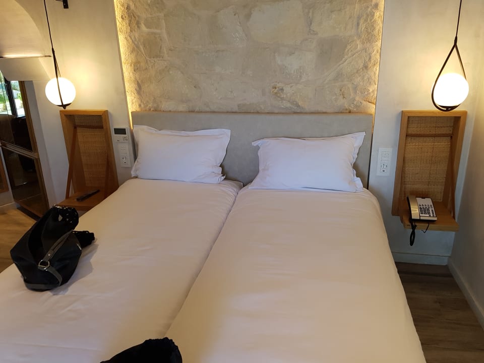 Zimmer Cactus Mare - Adults only