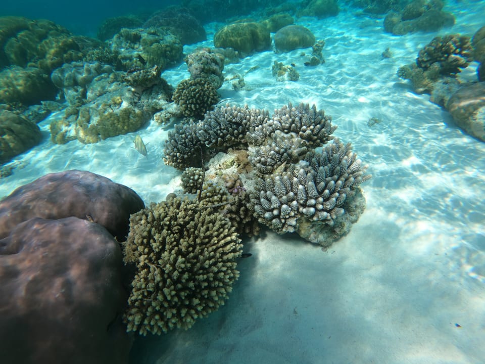 Sport & Freizeit Filitheyo Island Resort