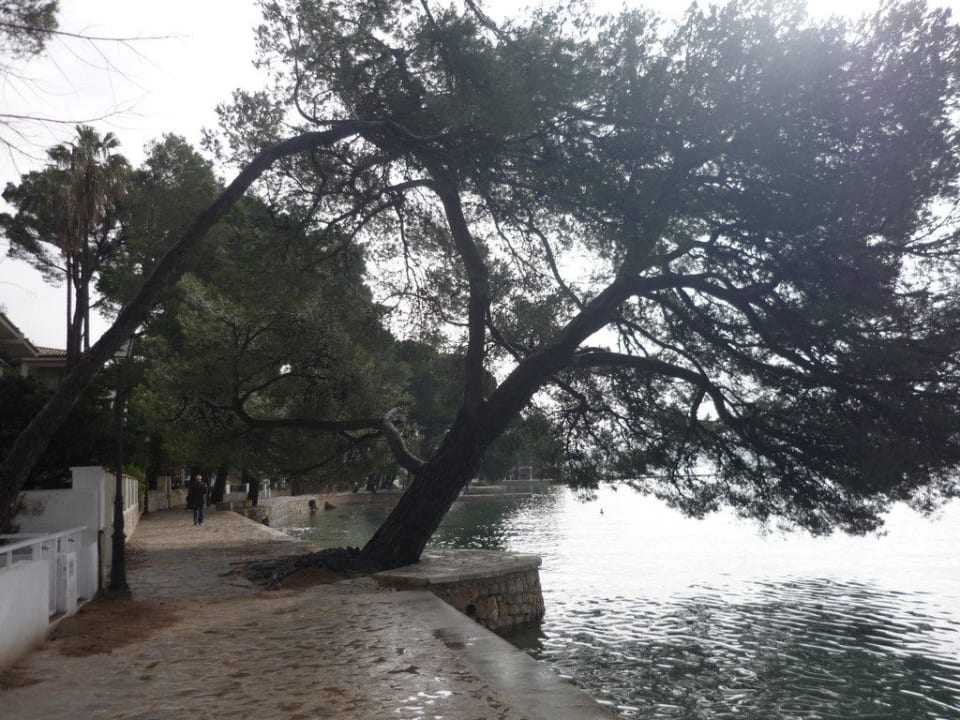 Promenade Illa d´Or Hotel & Club Apartamentos