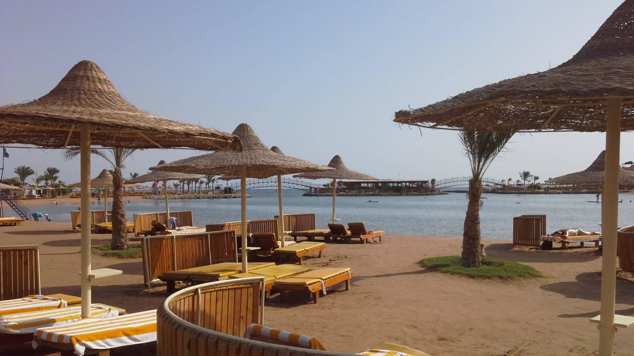 An der Lagune Desert Rose