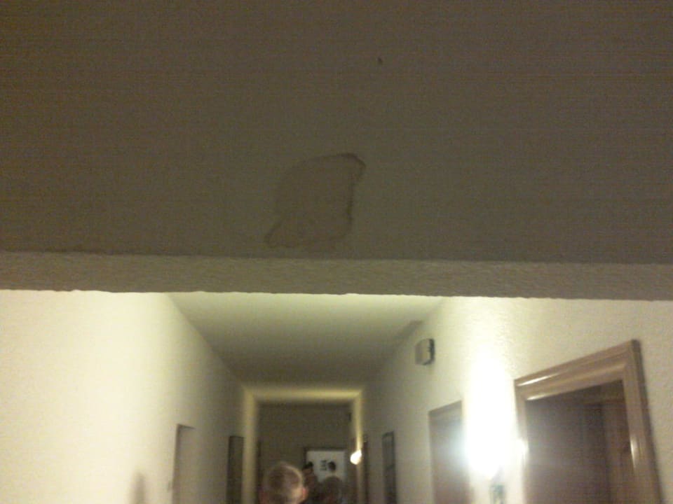 Flur Hotel Kilimanjaro