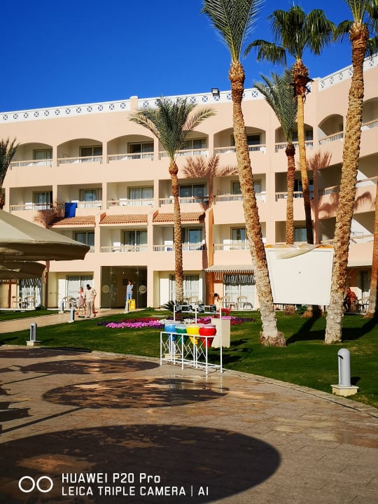 Außenansicht Beach Albatros Resort
