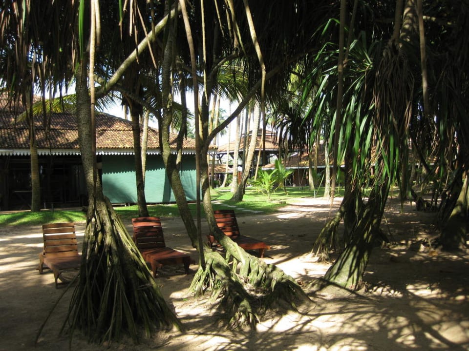 Aussenanlage Hotel Club Bentota